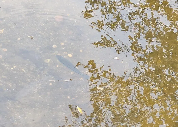 Cabana El Rio La Grande